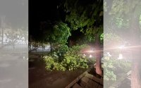 Силна буря и градушка в Хисаря