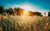 Слънчево начало на юни и съществено затопляне през новата седмица