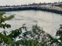 Петна с неясен произход отново се появиха в морето край Варна