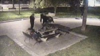Русе бележи антирекорди по младежка престъпност