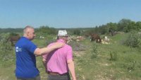 Казан за ракия и 27 магарета - кой е хърватинът, избрал България за своя родина?