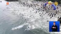 Над 700 състезатели участваха в триатлона "Лъвско сърце"