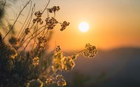 Слънчево време, със следобедни валежи само на отделни места