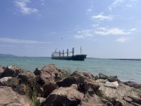 Изтеглиха заседналия кораб с тор от пристанището в Бургас