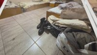 Експертиза установява с какво са упоявани възрастните хора в село Ягода