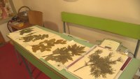 Деца се учат да оцеляват сред природата