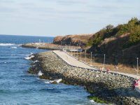 Забраниха електрическите тротинетки в Приморско