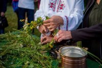 Фестивалът "Зелени слънца", посветен на Еньовден, се отменя заради издирването на черната пантера