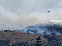 Пожари пламнаха на гръцките острови Хиос и Евия, евакуирани са населени места и един хотел