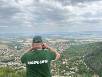 Издирването продължава: Ден 4 от търсенето на пантерата