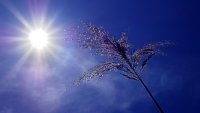 Горещото време се завръща - ще вали ли през уикенда