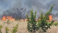 Всички пожари на територията на Бургаска област са локализирани и овладени