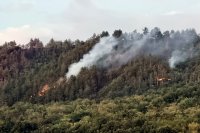 Пожарът в Рила все още не е овладян напълно