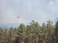 Над 3000 декара е засегнатата площ от пожара в Илинденци