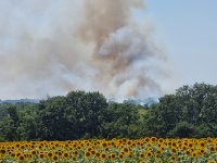 Огнената стихия в Община Болярово: Обявиха частично бедствено положение