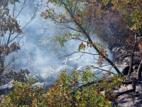 Частично бедствено положение в Костинброд заради пожар
