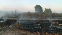 Земеделци описват щетите след големия пожар между Виноградец и Карабунар