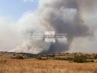 Пожарът от хасковските села Срем и Устрем се прехвърли в Община Елхово, хеликоптер се включи в гасенето