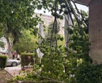 Паднали дървета и сериозни щети остави след себе си бурята в Северозападна България