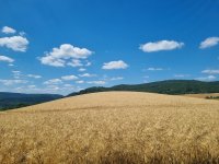 Времето тази седмица: дъжд, гръмотевици и горещини
