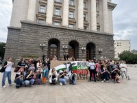 Забрана на клетките за телета: Граждани внесоха 110 хил. подписа в парламента