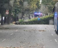 Wind with Gusts Up To 86 km/h Hit Ruse, Damage reported