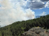 Пожар гори в землището на село Игралище в община Струмяни
