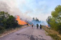 Пет пожара бушуват на територията на Югозападното държавно предприятие