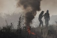 Пожарът в Национален парк "Рила" е обхванал над 500 декара площ