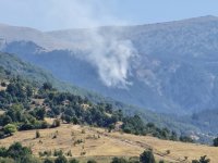 8 ден бушува огънят в Национален парк "Рила"