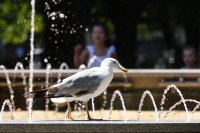 До края на деня - заоблачаване и валежи в западната част на страната