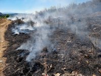 Пожар е пламнал в покрайнините на Монтана