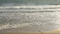 Navy Destroy Damaged Surface Drone in Black Sea Waters