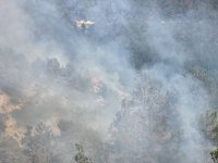 The Damages from the Fire in Pirin Exceeds BGN 16 Million