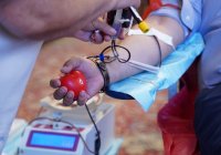 MPs Donated Blood on the Day of Sofia (PHOTOS)