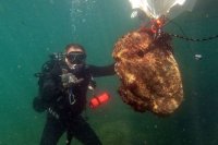 Подводно пристанище край крепостта Ерите разкри експедиция край нос Киллик (СНИМКИ)