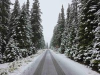 В планините вали сняг, шофьорите да бъдат внимателни (СНИМКИ)