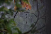 Жълт и оранжев код за значителни валежи в понеделник