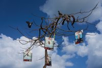 Очаквайте в "След новините": За човешката цена на войната - да бъдеш 505 дни в плен на Хамас