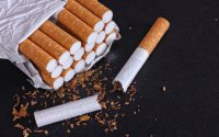 On Heart Day: Campaign Launched to Combat Smoking Among Students and Expectant Mothers