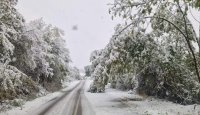 The Beauty of Winter in October at Petrohan Mountain Pass (see pics)