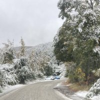 Затвориха пътя за Витоша заради снеговалежа