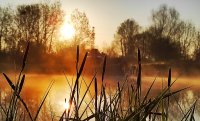 Дъжд, сняг и после... слънце! Ето какво време ни чака през уикенда