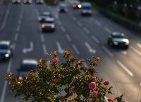 Край на стикера за технически преглед на стъклото на колата - става електронен