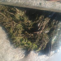 Река Янтра прелива край русенското село Долна Студена