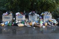 Препълнени контейнери и задушлива миризма в "Люлин" и "Красно село"