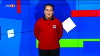 Спасен е прострелян ягуар в Бразилия