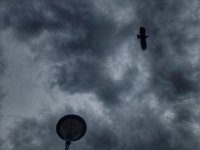 Заваля по Южното Черноморие, в следващите часове предупреждават за опасни количества дъжд