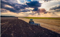 Bulgarian Grain Producers in Protest Readiness, Demand Meeting with PM
