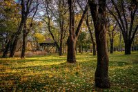 Още 30 декара от парка на Военната академия ще отворят за гражданите